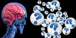 Beyin Neden Küçülür ve Nasıl Önlem Alınır?