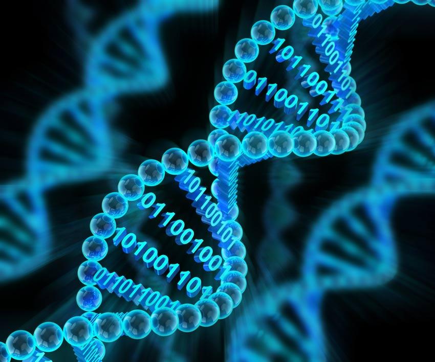 DNA Veri Depolayabilir mi?
