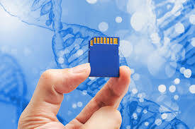 DNA Veri Depolayabilir mi?
