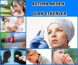 Astım Hastalığını Ortaya Çıkartan Gerçek Nedenler ve Çözümler