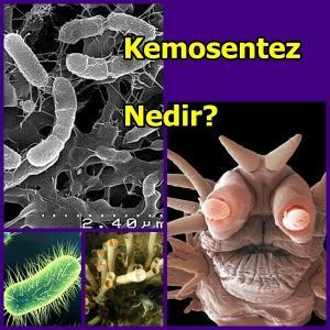 Kemosentez Nedir?