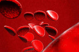Kırmızı Kan Hücresi Sayısı Nasıl Arttırılır?