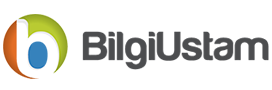 Bilgiustam.com