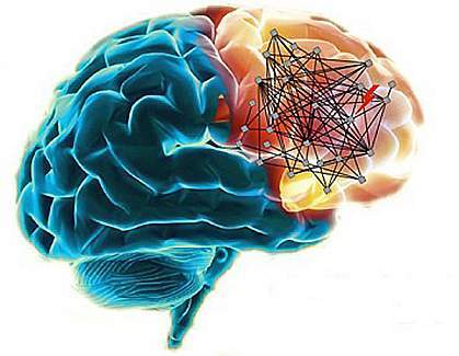 Beyin Hücreleri Aktivitelerini Nasıl Kaydeder?