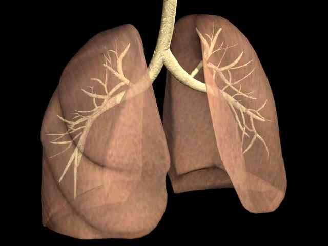 Akciğerlerin Mikrop Kapması Nelere Sebep Olur?