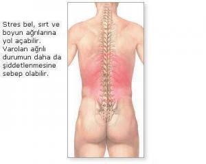 Vücuda Şifa Veren En Etkili Doğal Kas Gevşeticiler