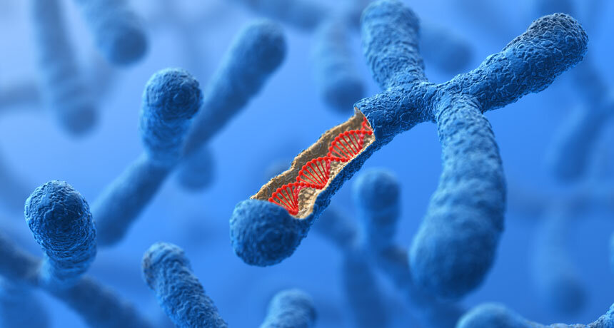 İnsan Hücrelerinde Bulunan Protein Kodlamayan RNA Türleri