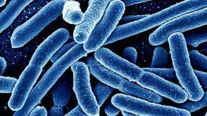 Antibiyotik Direnci Nedir ve Nasıl Ortaya Çıkar?