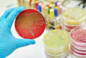 Antibiyotik Direnci Nedir ve Nasıl Ortaya Çıkar?