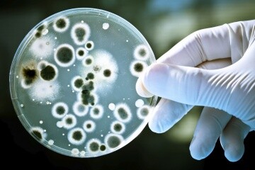 Antibiyotik Direnci Nedir ve Nasıl Ortaya Çıkar?