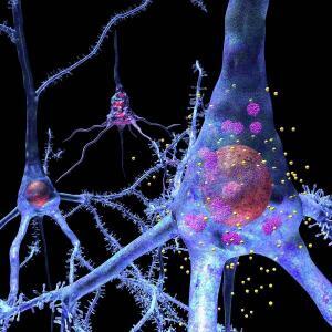 Prion Nedir ve Hastalıklara Nasıl Neden Olur?