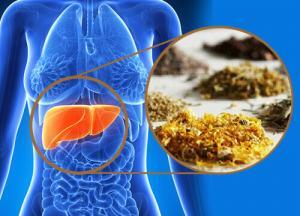 6 Adımda Karaciğer Temizliği ve Detoks Uygulaması Nasıl Yapılır?