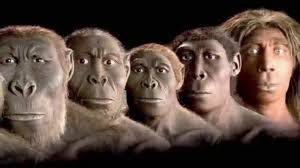 Charles Darwin ve Evrim Teorisi