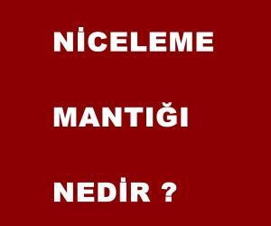 Niceleme(Yüklemler) Mantığı Nedir ?