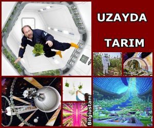 Uzayda Tarım Yapılabilir mi?