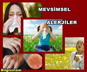 Mevsimsel Alerjiler ve Polen Alerjisi Nedir?