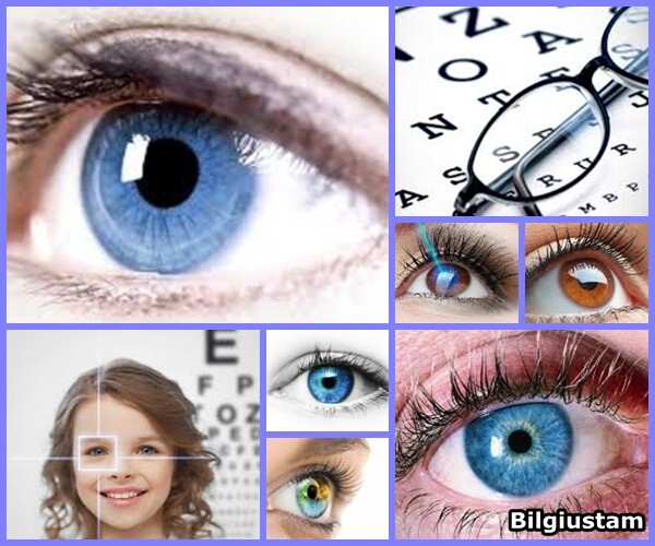 Göz sağlığı: Göz Vitaminleri ve Besinleri Nelerdir? Göz Vitaminlerinin İşlevi Nedir?