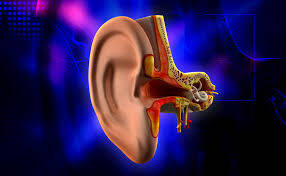 Kulak Tüpü Ameliyatı Başarılı Sonuç Verir mi ?