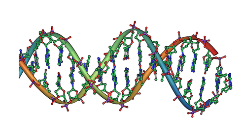 DNA Hasarı İçin Onarım Mekanizmaları