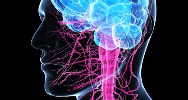 Motor Nöron Hastalıklarının Belirtileri, Tanısı ve Tedavisi