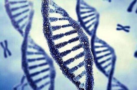 Fenotip Ve Genotip Arasındaki Farklar