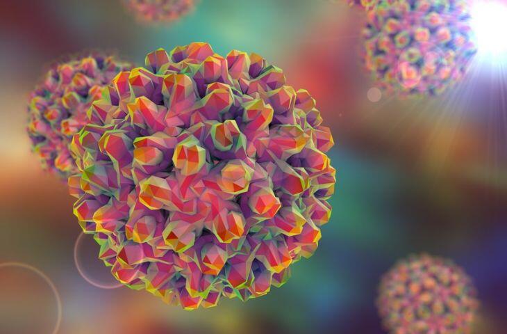 Virüslerin Kökeni ve Viral Hastalıklar