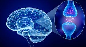 Parkinson Hastalığına Neden Olan Molek&uuml;ler Mekanizmalar