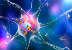 Parkinson Hastalığı İ&ccedil;in Deneysel Tedavi Y&ouml;ntemleri