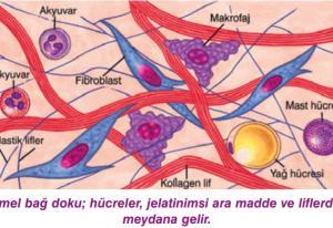 VRF Klima Sistemleri Nedir, Avantajları Nelerdir?
