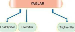 Maya Alerjisi Nedir? Belirtileri Nelerdir?