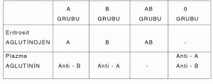 Çok (Multiple) Alellik Nedir?
