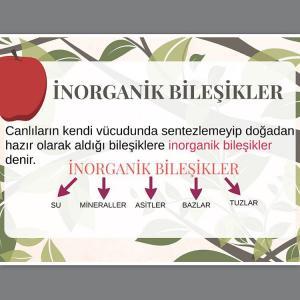 Canlıların Yapısındaki İnorganik Bileşikler