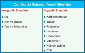 Canlıların Yapısındaki Organik Bileşikler