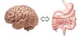 Sindirim Sisteminde Bulunan Mikroorganizmalarin Serotonin Üretimine ve Depresyona Etkisi (Gut Brain)