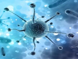 Serebral Palsi (SP) Nedir?
