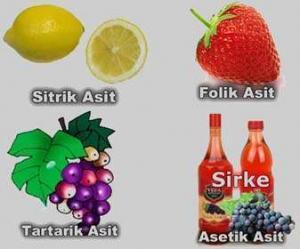 Canlıların Yapısındaki İnorganik Bileşikler