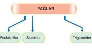 Canlıların Yapısındaki Organik Bileşikler