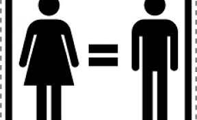 Feminist Edebiyat Kuramı