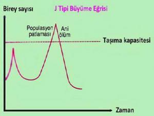 Populasyon Yoğunluğunu Sınırlayıcı Faktörler