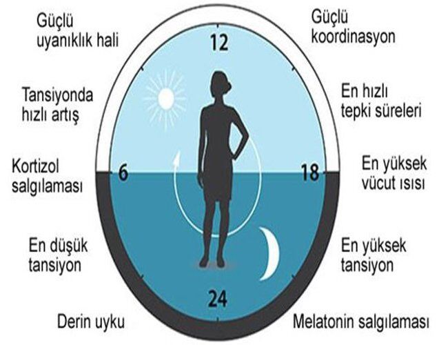Pireler ve Özelikleri