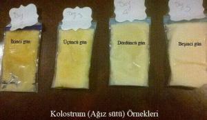 Mizah Edebiyatı ve Aziz Nesin
