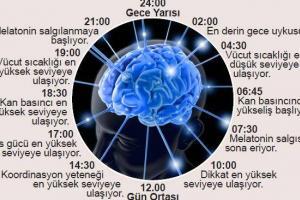 Kanayan Diş Mantarı