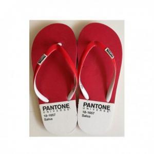 Pantone Nedir?