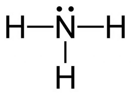 Giberellin Hormonunun Görevleri