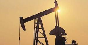 Petrol Fiyatlarının Ekonomi Üzerindeki Etkileri