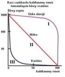 Populasyonların Düzenlenmesi