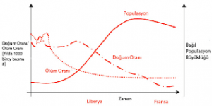 Populasyonların Düzenlenmesi