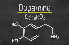 Dopaminin İki Farklı Yönü