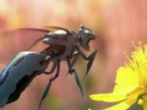 Monosodyum Glutamat Zararlı Mıdır?