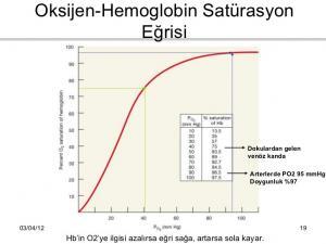 Hemoglobin ve İşlevleri